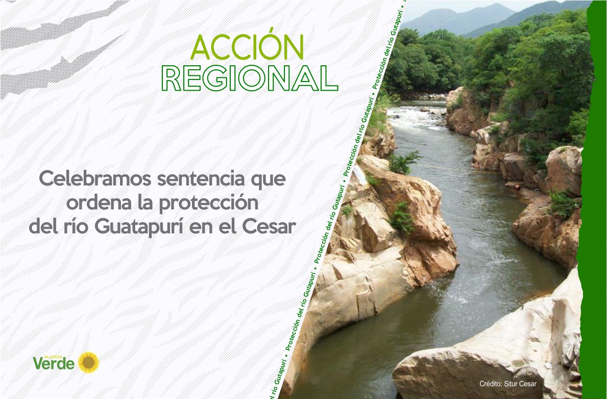 Celebramos sentencia que ordena la protección del río Guatapurí en el Cesar