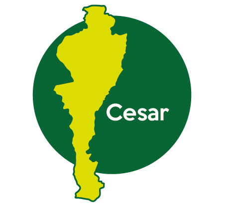 Candidatos Cesar
