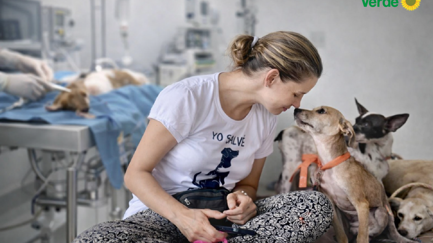 Esterilizacion animal