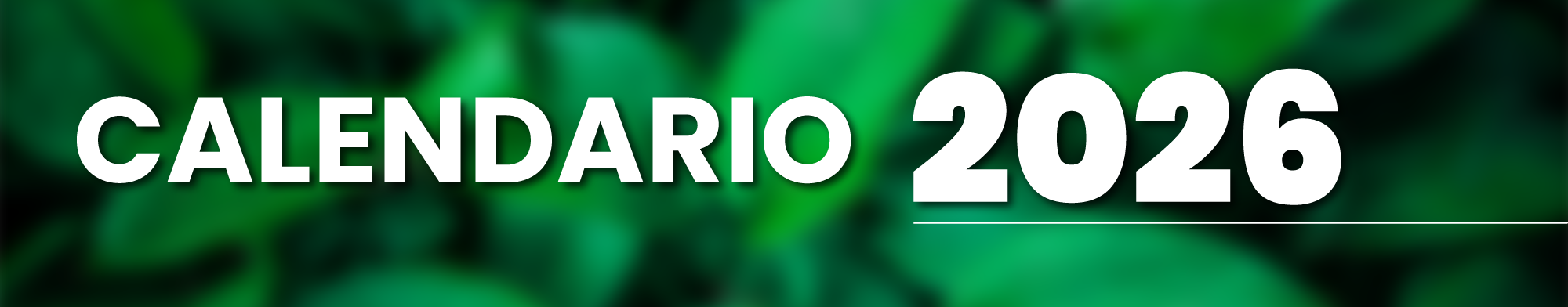 calendario_2026_v1-13