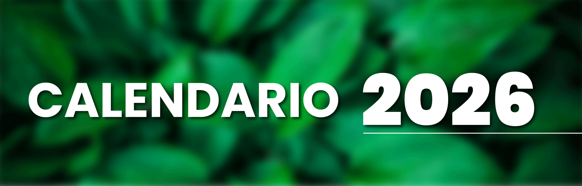 calendario_2026_v1